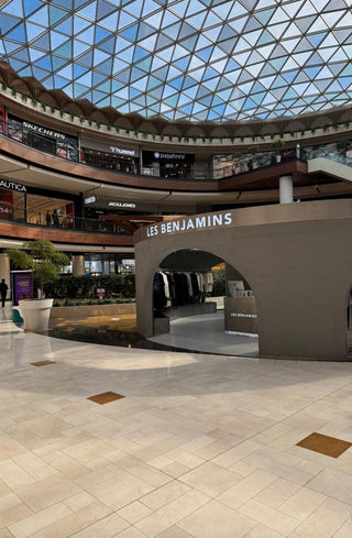Les Benjamins - 