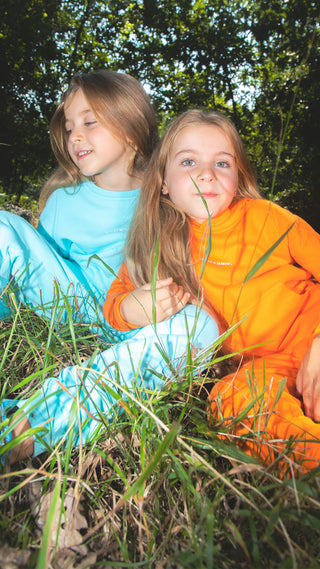 Les Benjamins - 