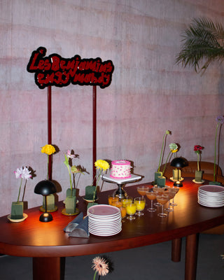 Les Benjamins - 