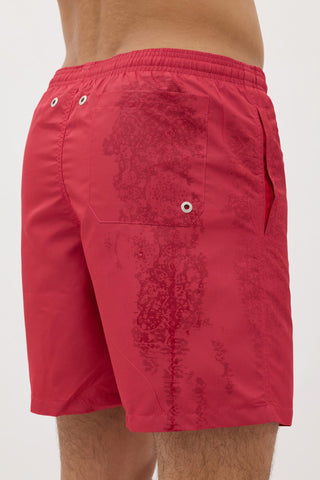 Les Benjamins - SWIMSHORT 003