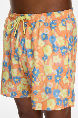 Les Benjamins - SWIMWEAR 005