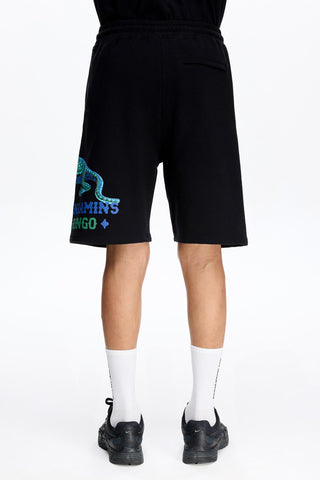 Les Benjamins - SHORT 022