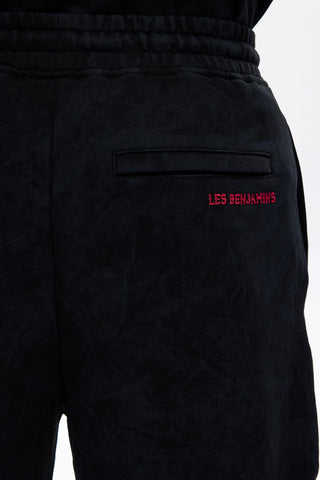 Les Benjamins - SHORT 029