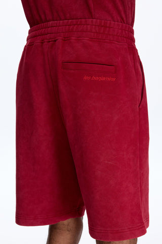 Les Benjamins - SHORT 310