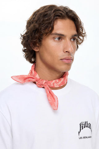 Les Benjamins - SCARF 502