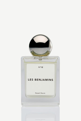 Les Benjamins - DESERT STORM