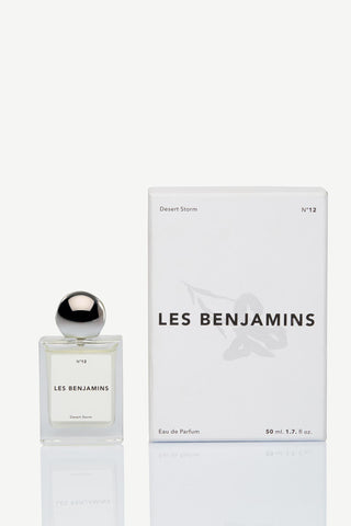 Les Benjamins - DESERT STORM