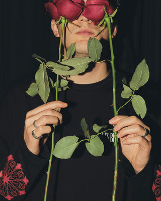 Les Benjamins - 